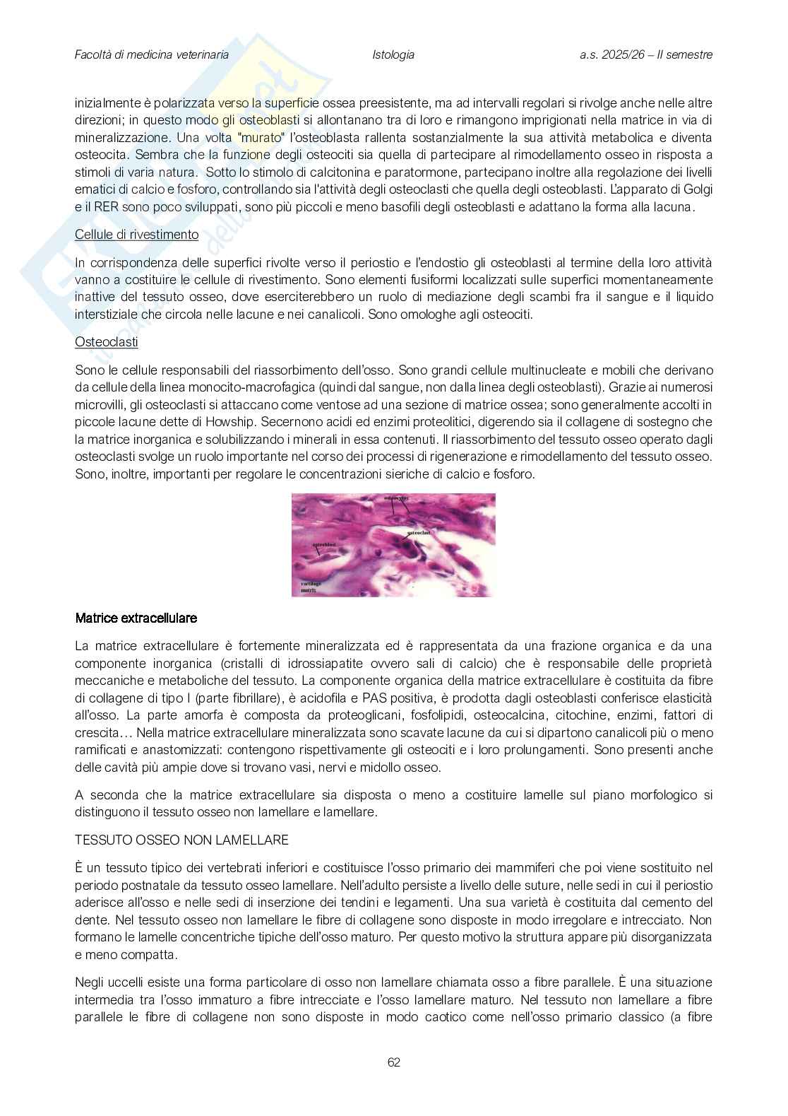 Fisiologia veterinaria 1 Pag. 61