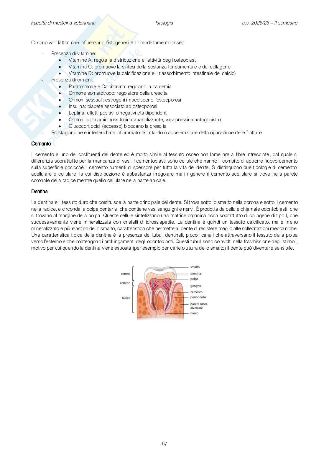 Fisiologia veterinaria 1 Pag. 66