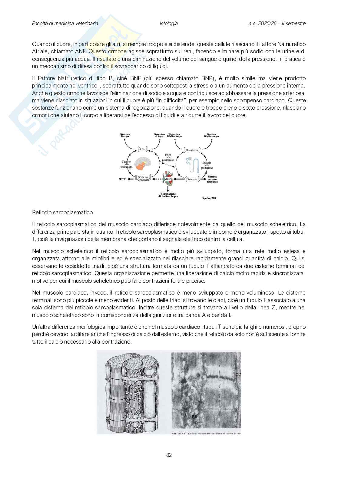 Fisiologia veterinaria 1 Pag. 81