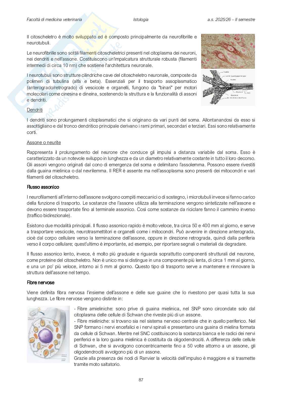 Fisiologia veterinaria 1 Pag. 86