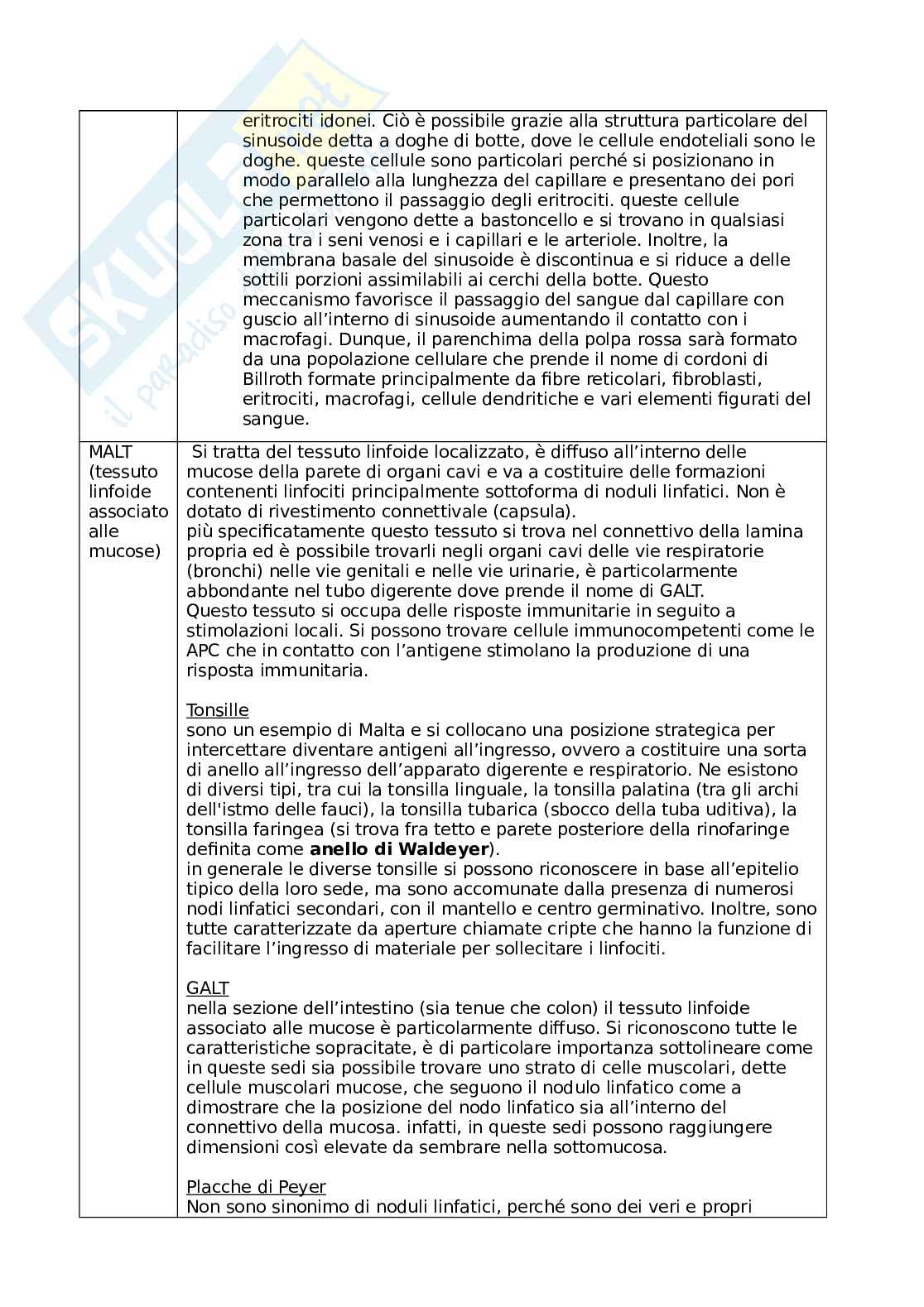 Sistema linfatico Pag. 6