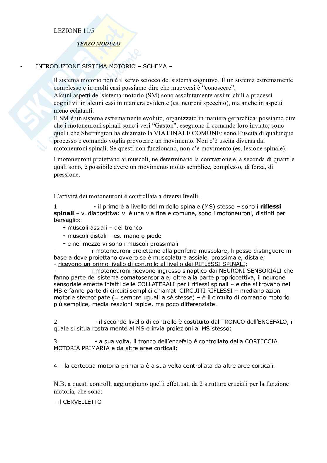 3° Modulo "Fondamenti anatomo-fisiologici dei processi psichici" Pag. 1