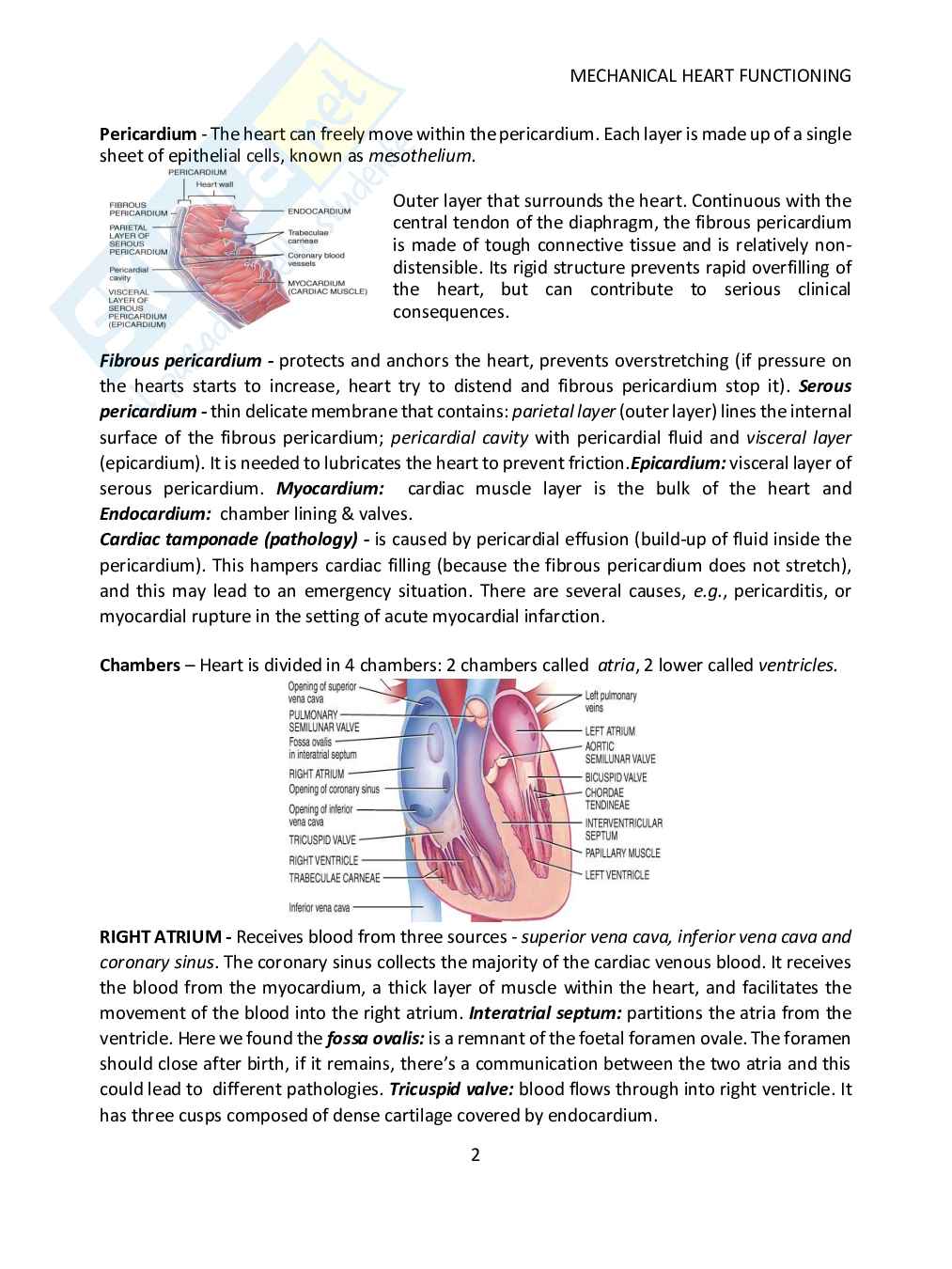 Mechanical Heart Functioning Pag. 2