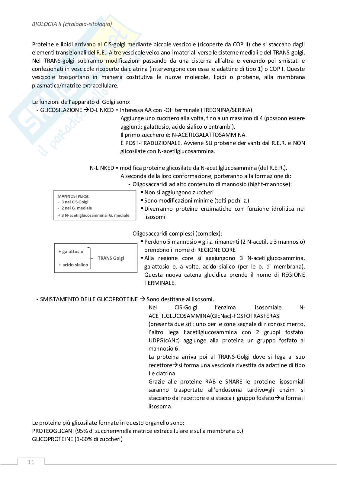 Citologia - la cellula eucariote Pag. 11