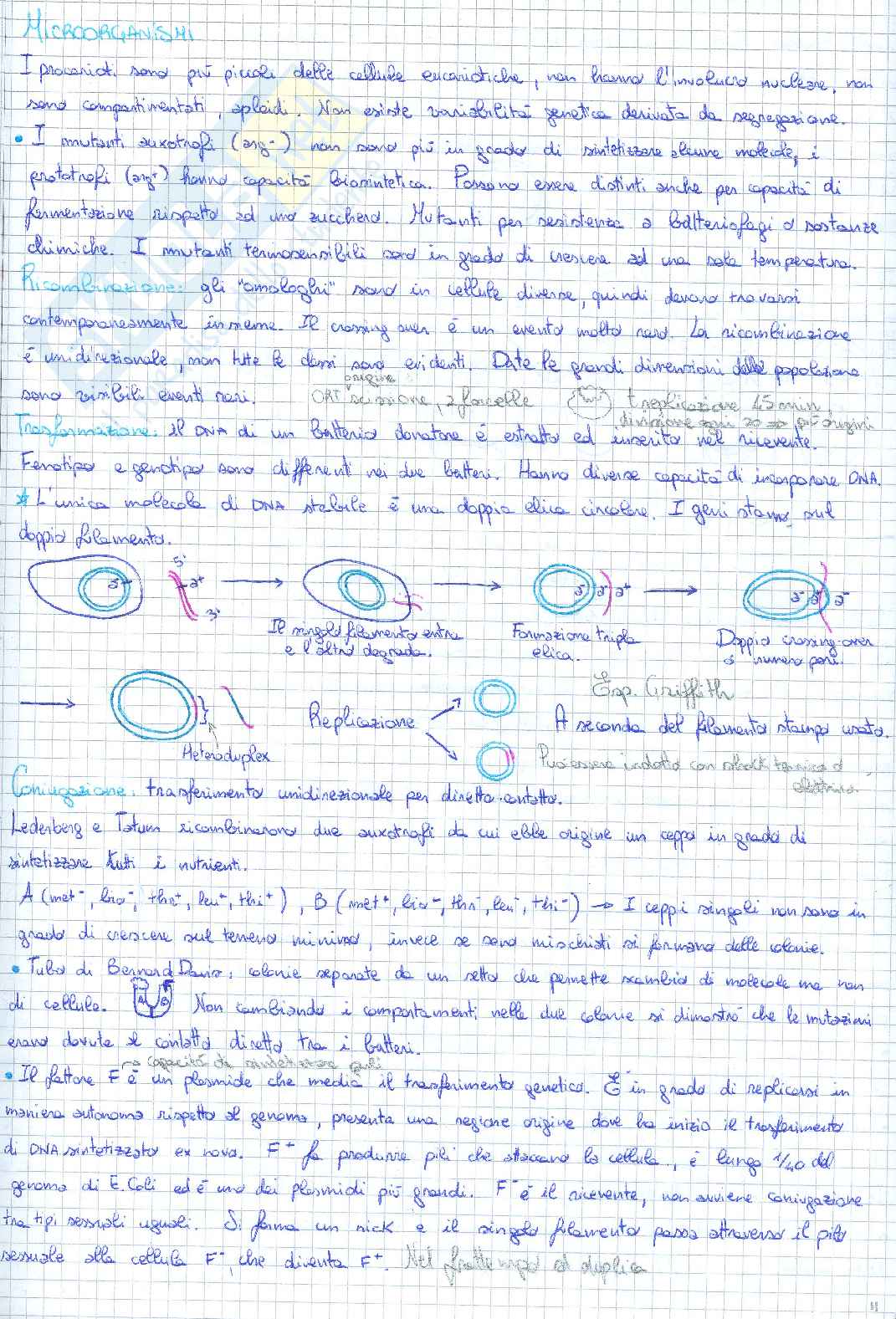 Appunti di genetica Pag. 21