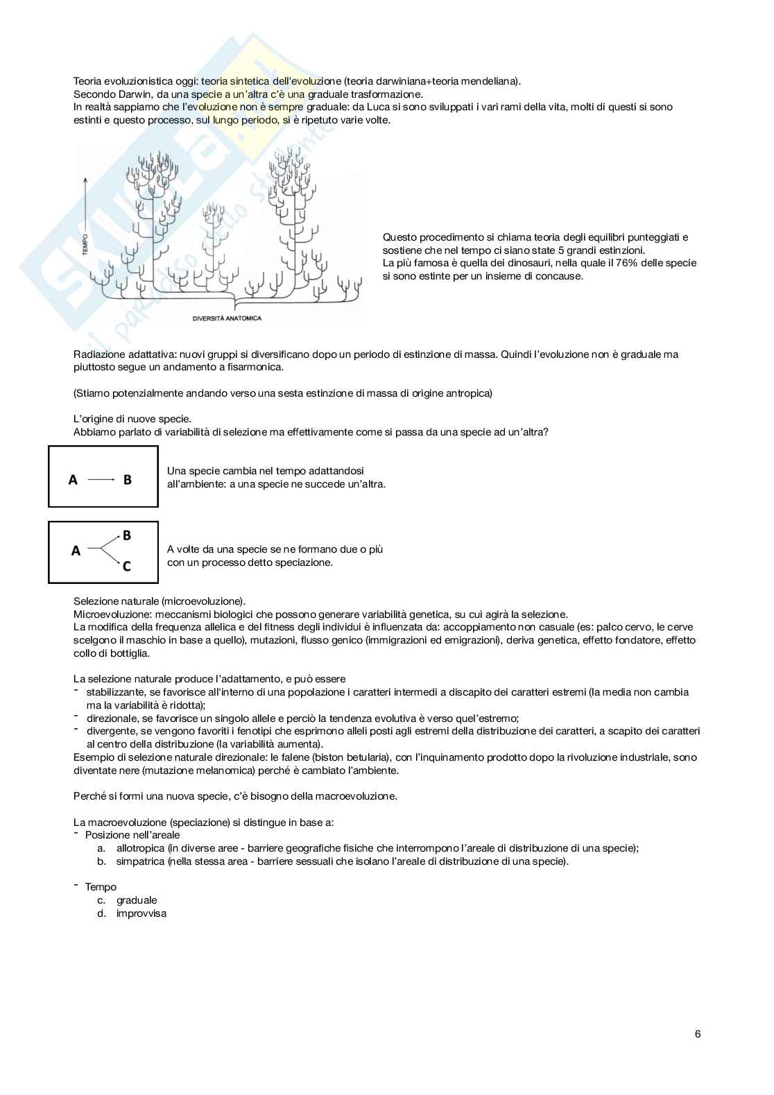 Appunti di Geografia e biodiversità dei paesaggi e dei prodotti agroalimentari Pag. 6