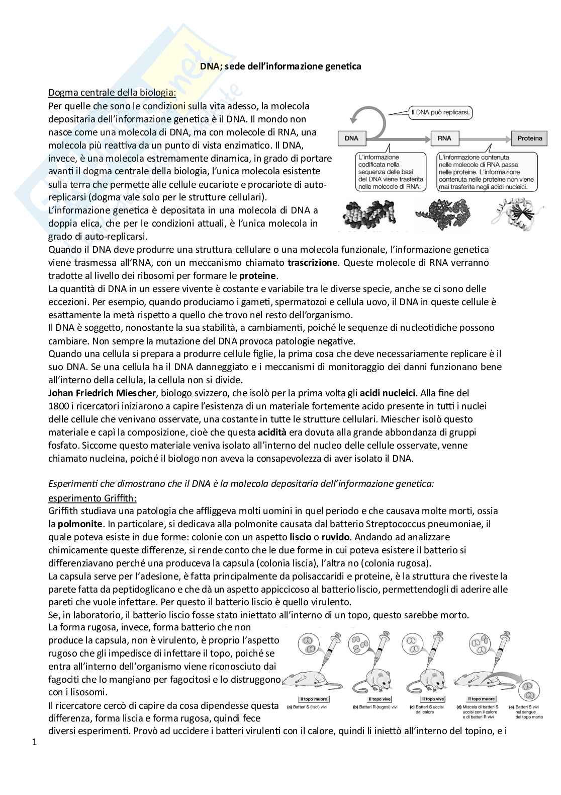 Biologia animale e vegetale Pag. 1