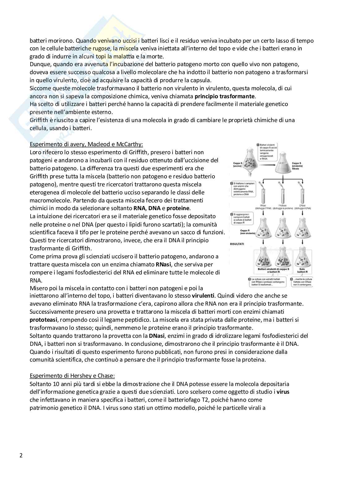 Biologia animale e vegetale Pag. 2