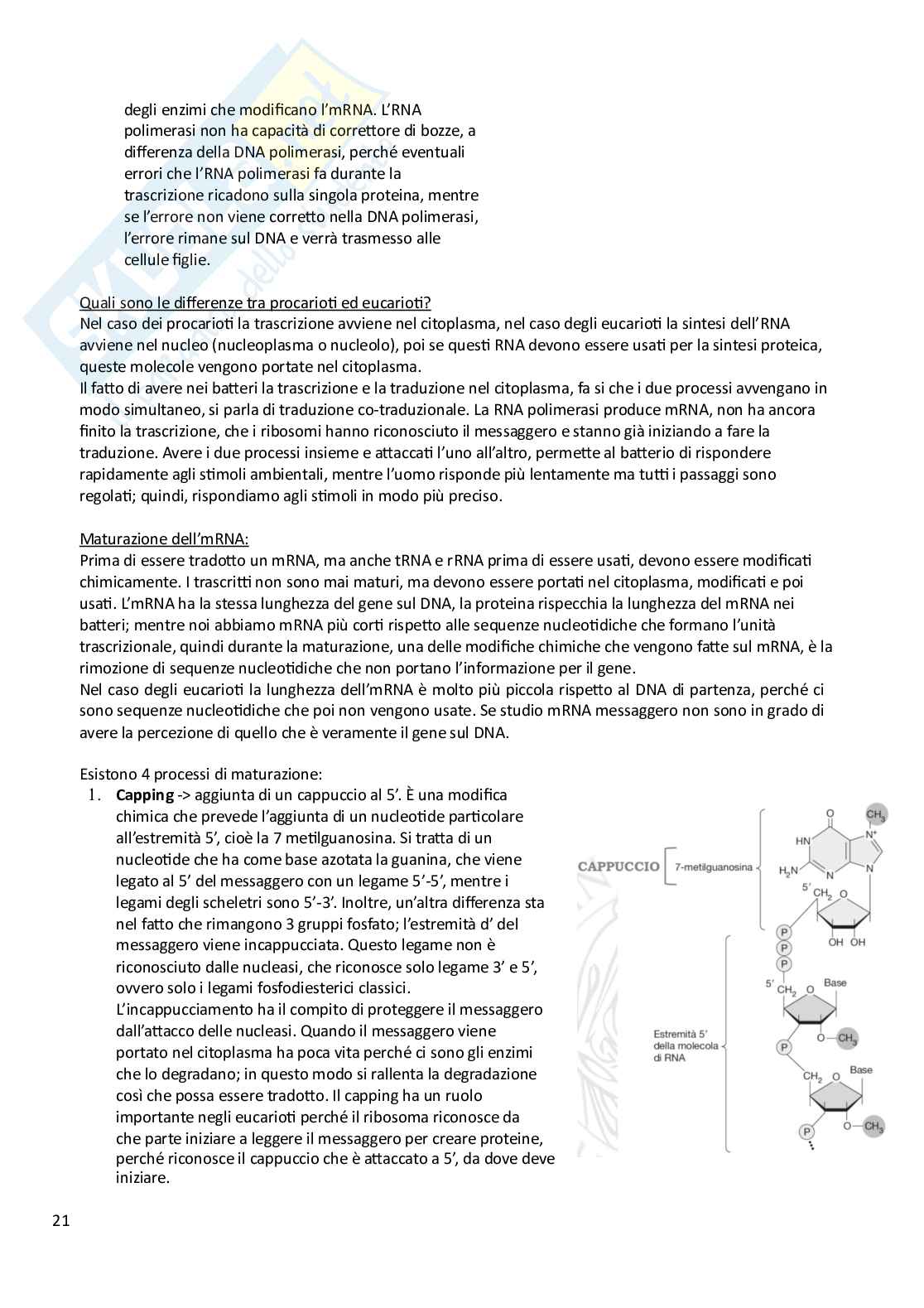 Biologia animale e vegetale Pag. 21