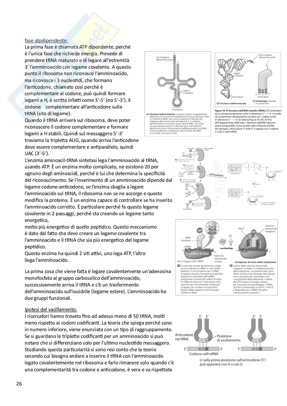 Biologia animale e vegetale Pag. 26