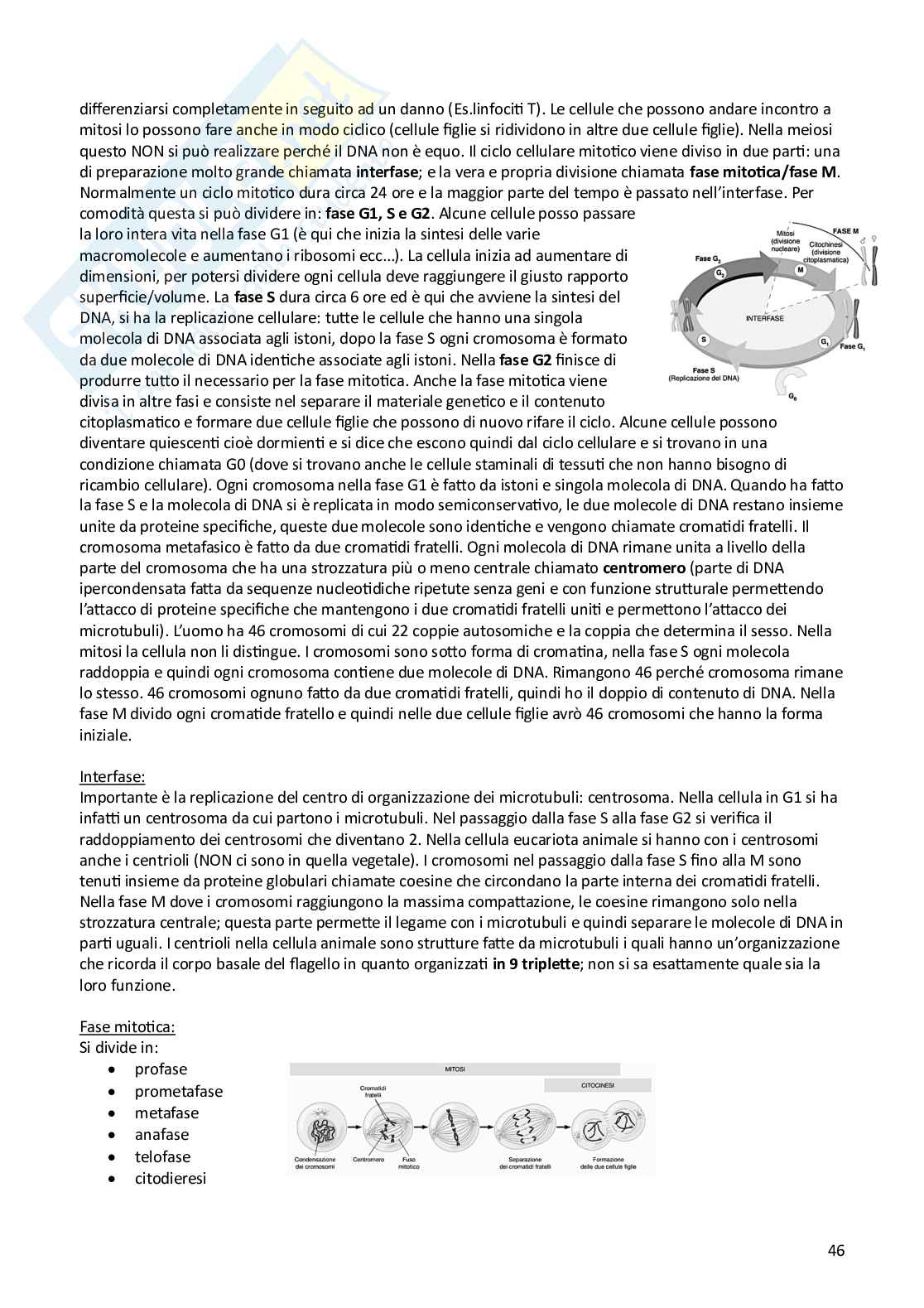 Biologia animale e vegetale Pag. 46
