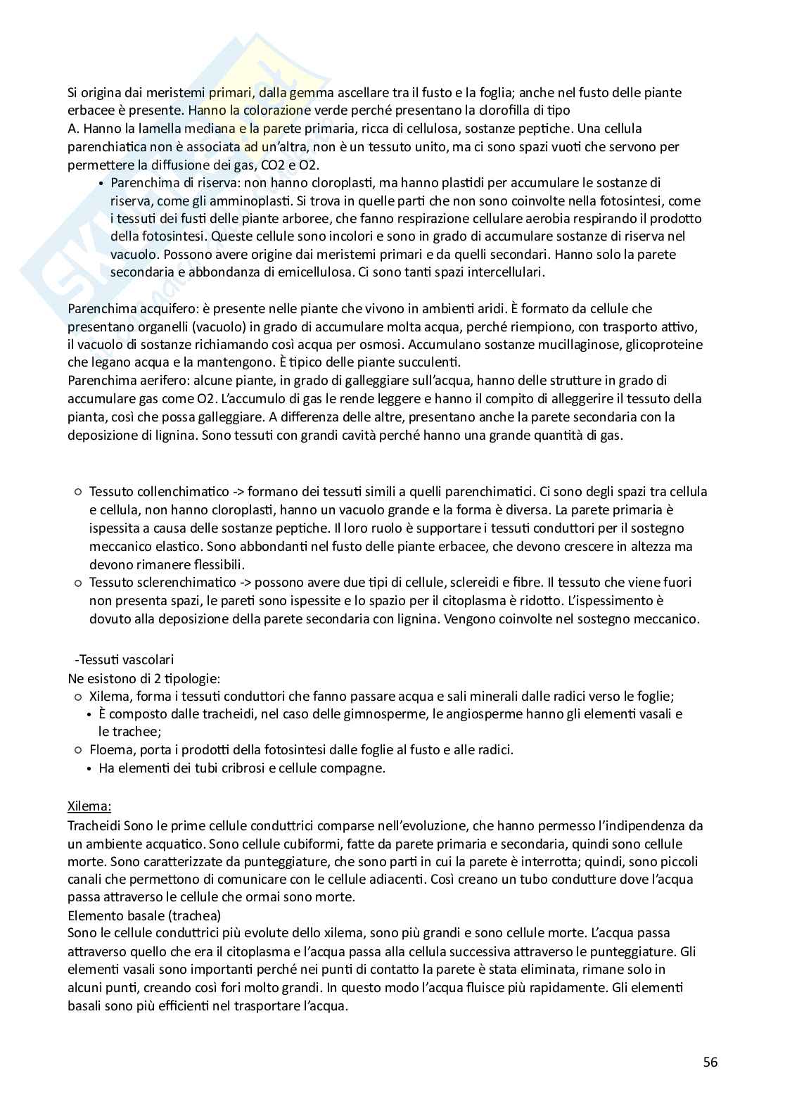 Biologia animale e vegetale Pag. 56