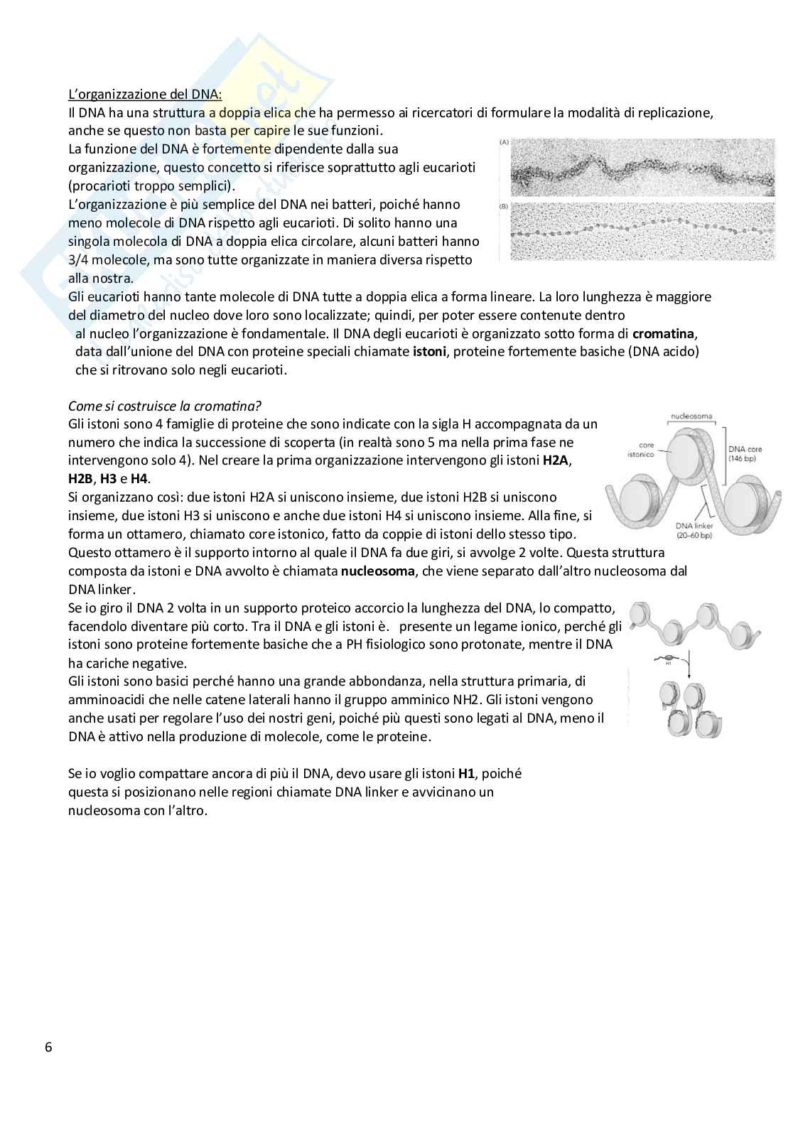 Biologia animale e vegetale Pag. 6