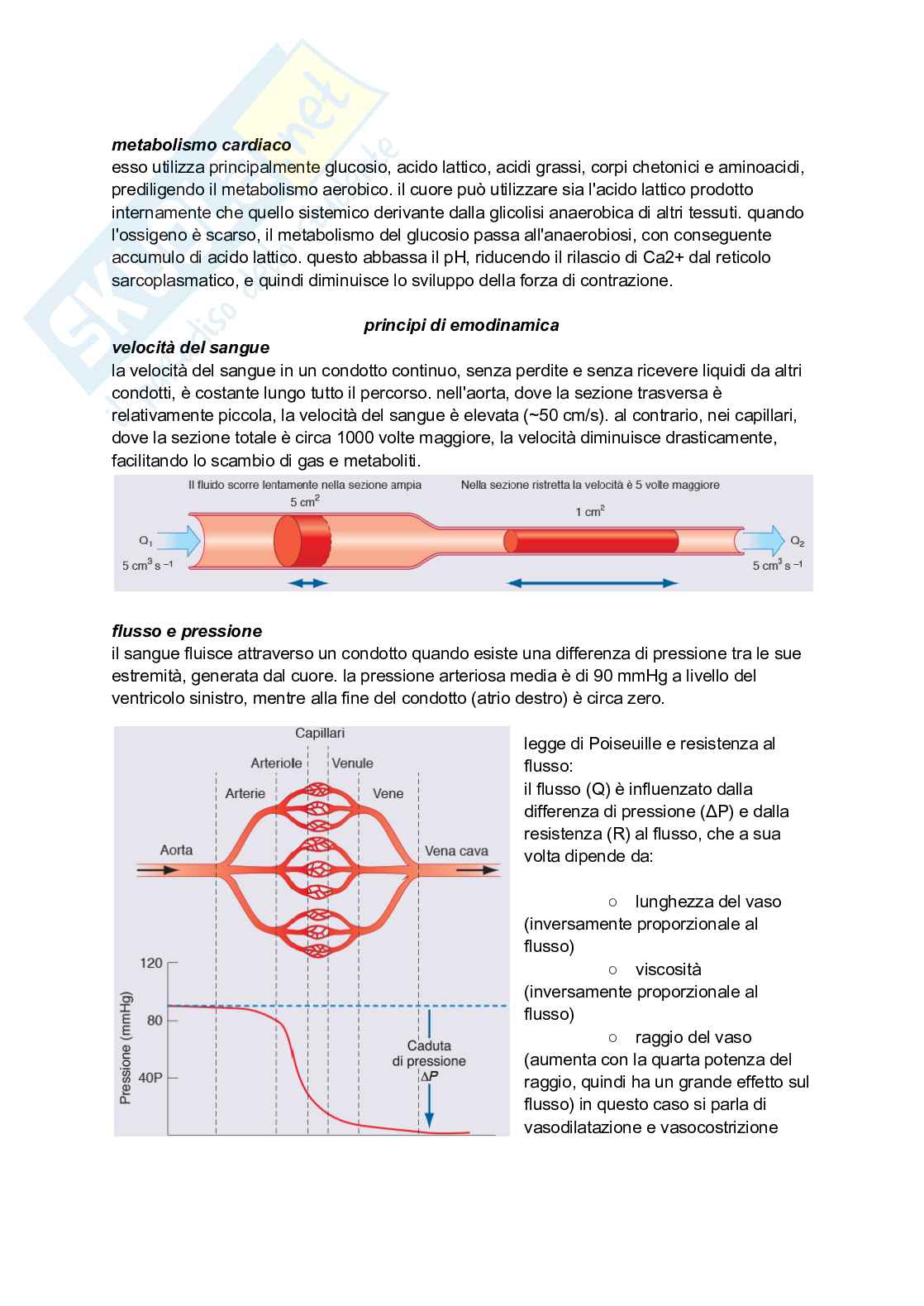 Sistema cardiocircolatorio Pag. 16