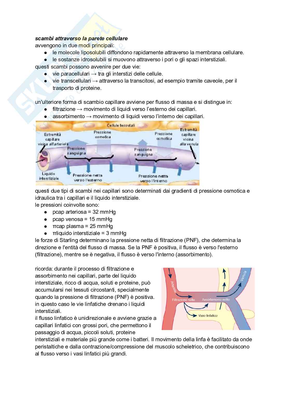 Sistema cardiocircolatorio Pag. 21