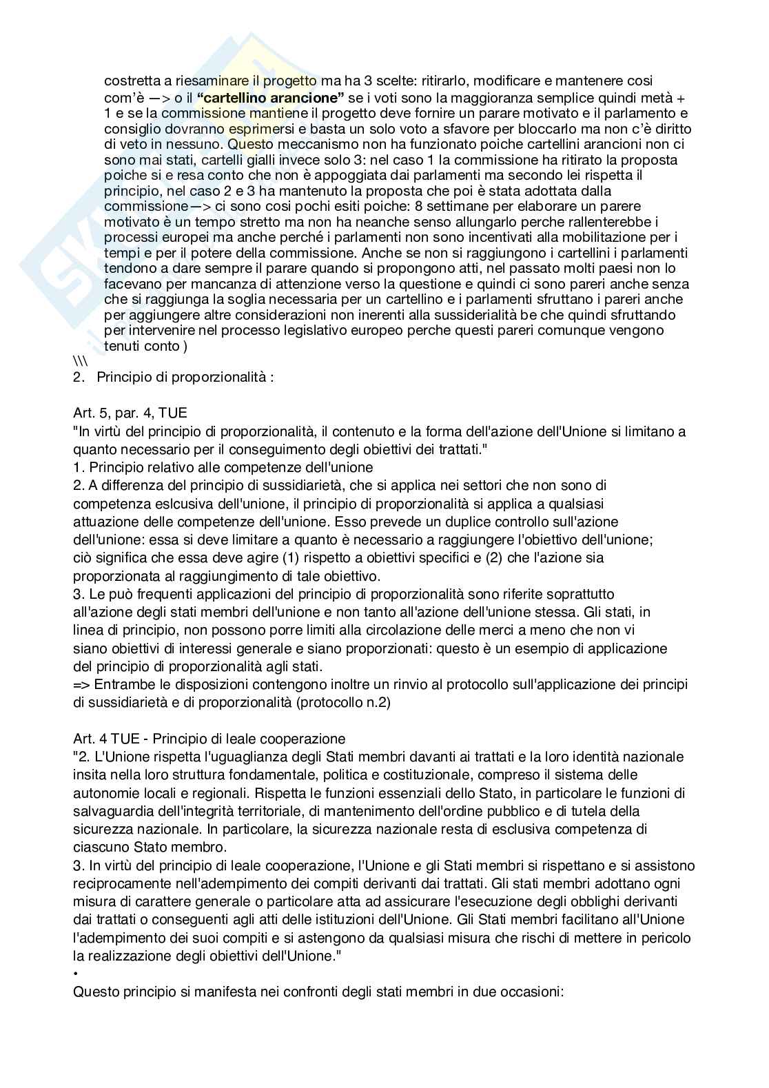 Diritto dell'Unione Europea Pag. 21