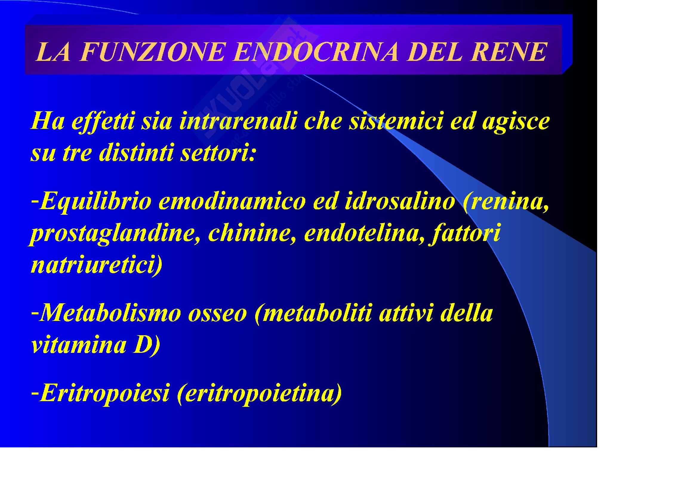 Nefrologia e urologia – Funzione endocrina Pag. 1