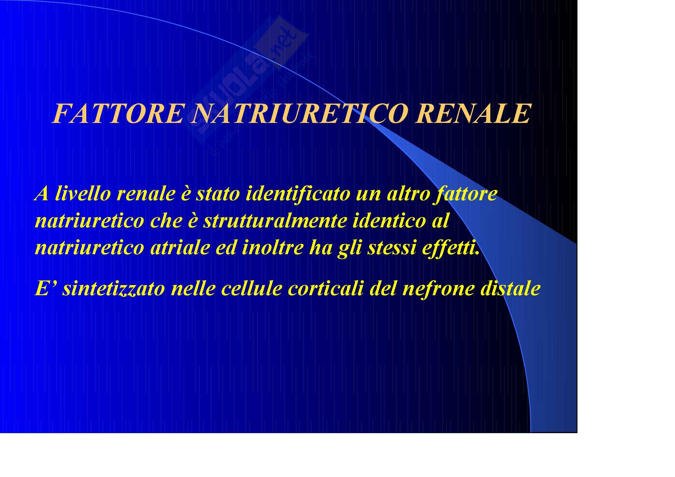 Nefrologia e urologia – Funzione endocrina Pag. 21