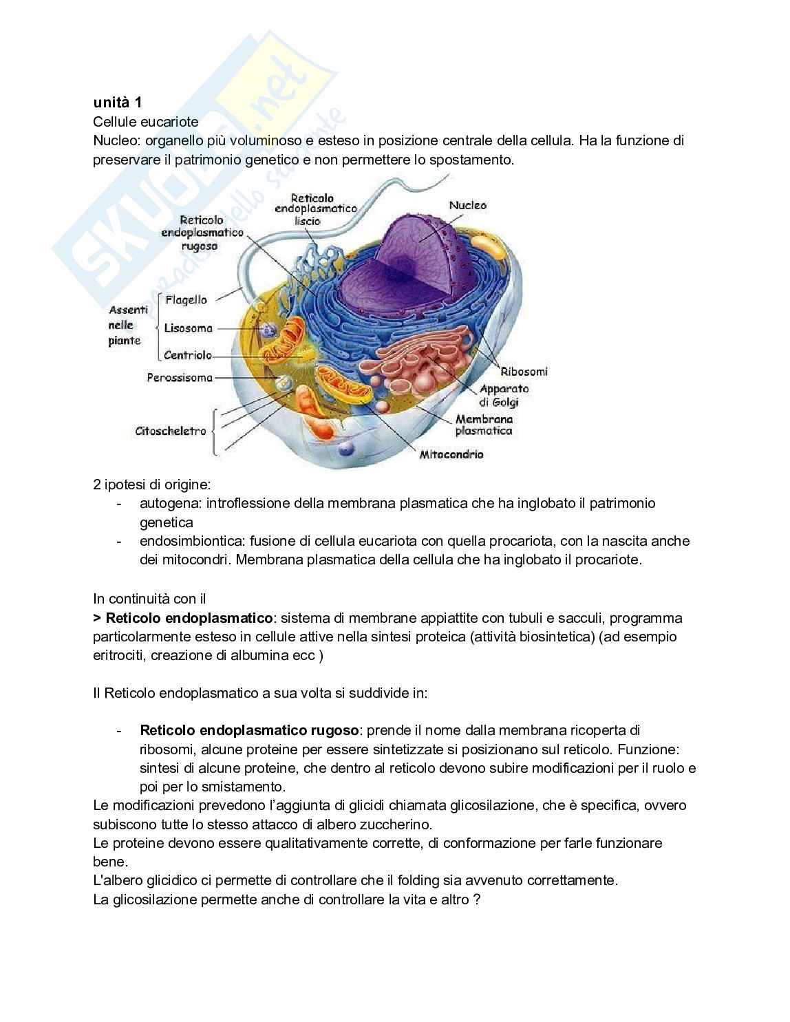 Biologia e genetica - Appunti semestre filtro completi Pag. 1