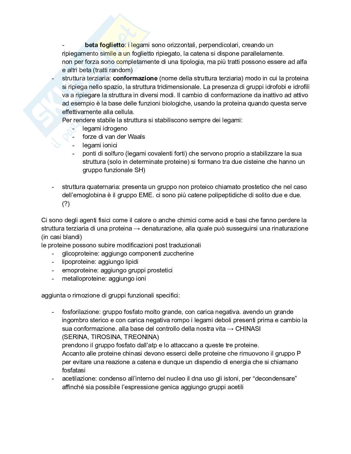 Biologia e genetica - Appunti semestre filtro completi Pag. 11