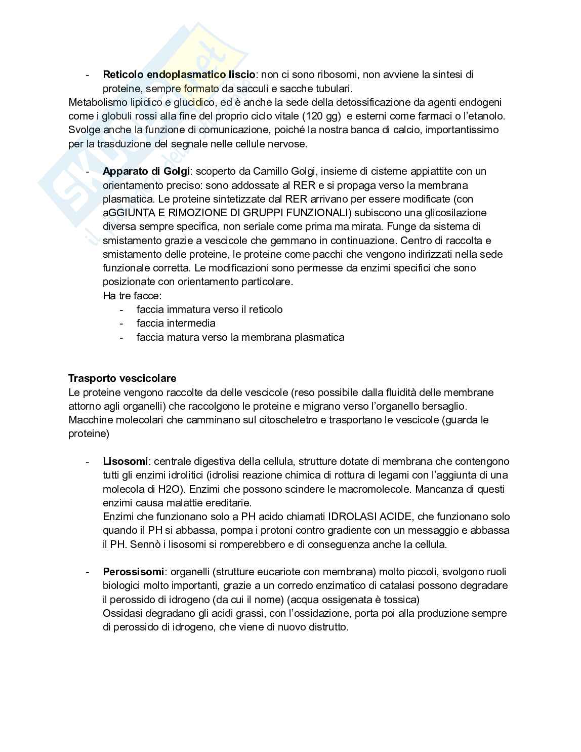 Biologia e genetica - Appunti semestre filtro completi Pag. 2