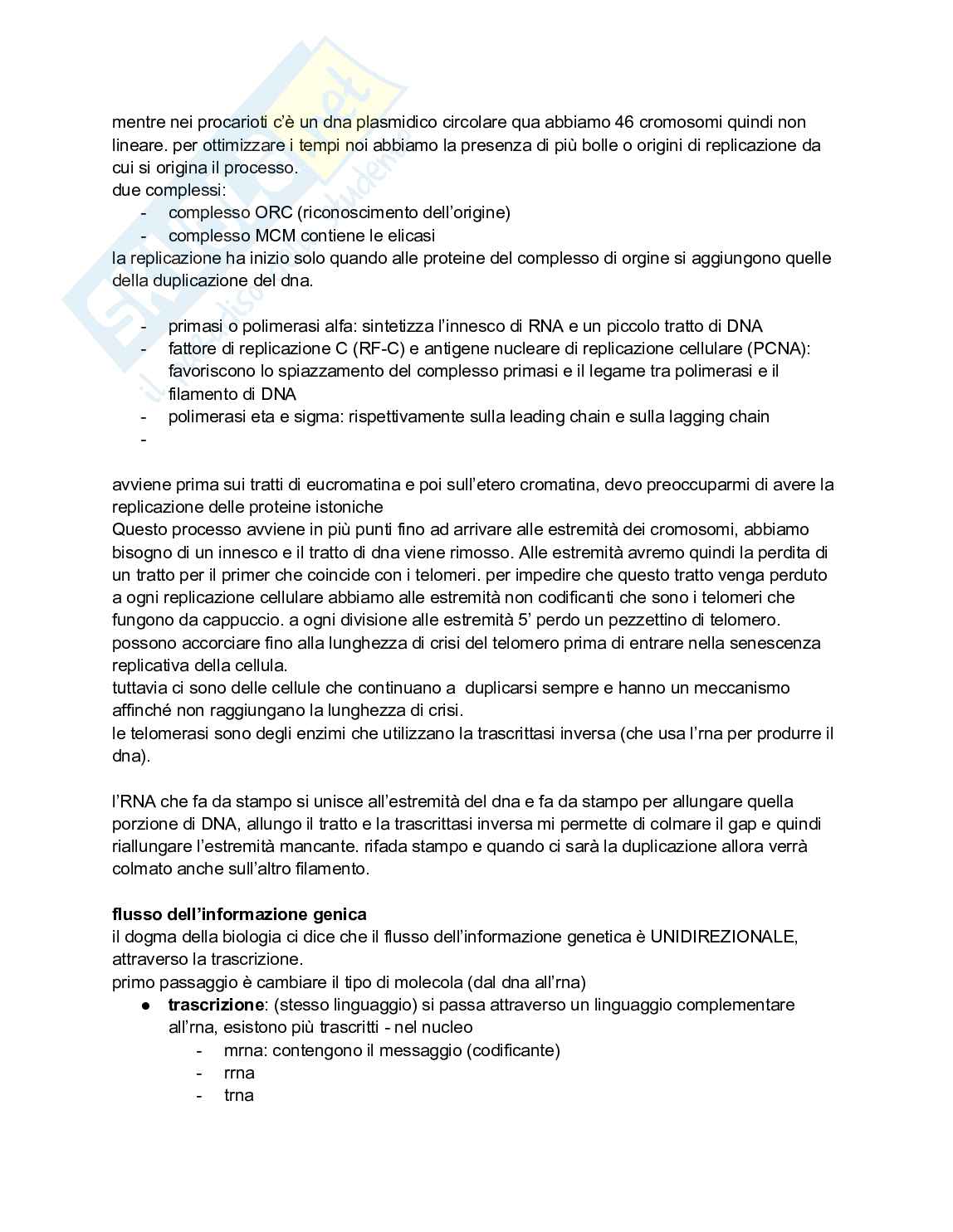 Biologia e genetica - Appunti semestre filtro completi Pag. 21