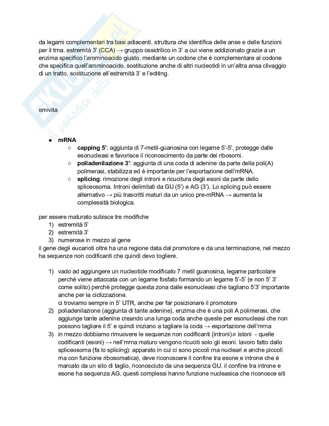 Biologia e genetica - Appunti semestre filtro completi Pag. 26