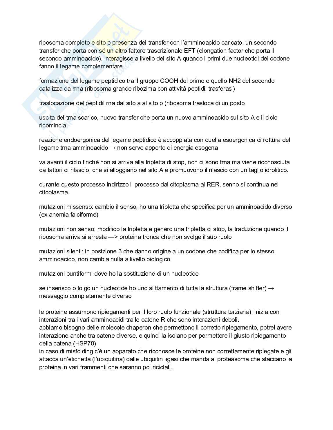 Biologia e genetica - Appunti semestre filtro completi Pag. 31