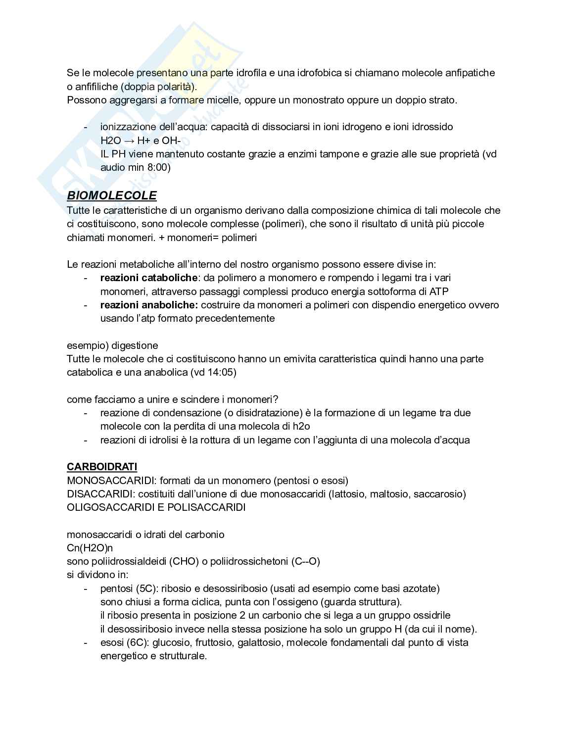 Biologia e genetica - Appunti semestre filtro completi Pag. 6