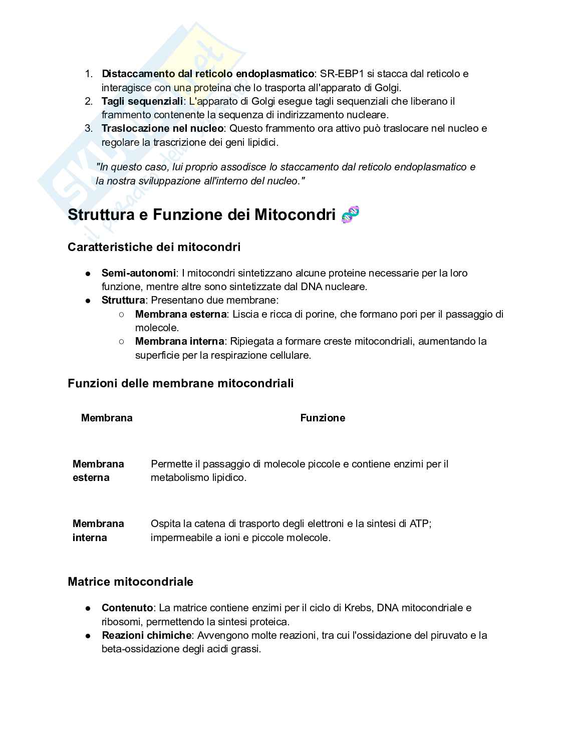 Biologia e genetica - Appunti semestre filtro completi Pag. 61