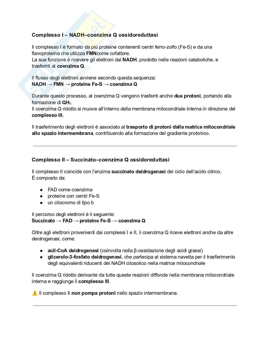 Biologia e genetica - Appunti semestre filtro completi Pag. 66