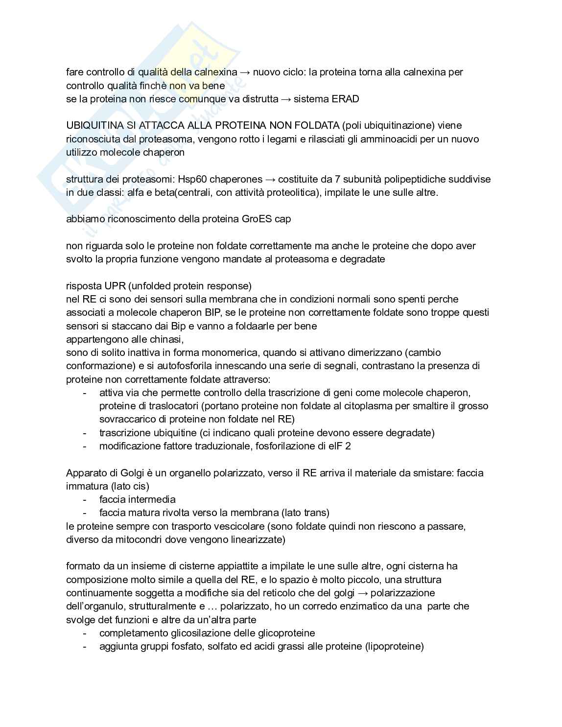 Biologia e genetica - Appunti semestre filtro completi Pag. 71