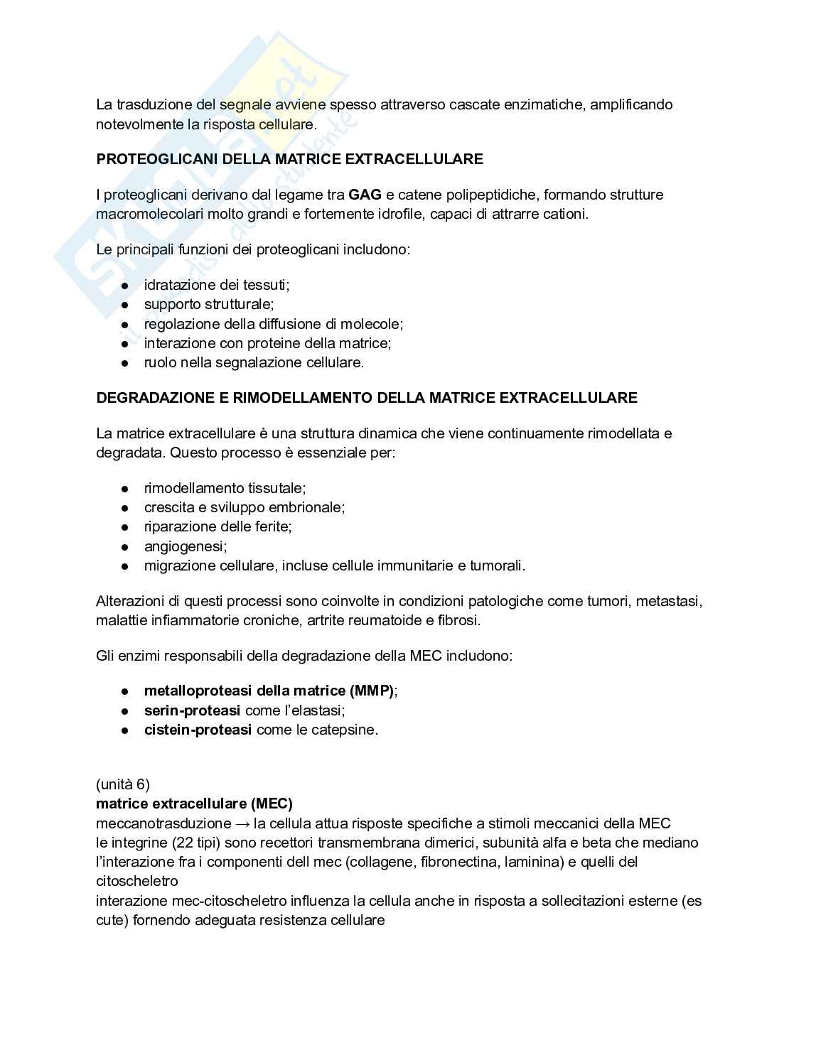 Biologia e genetica - Appunti semestre filtro completi Pag. 86