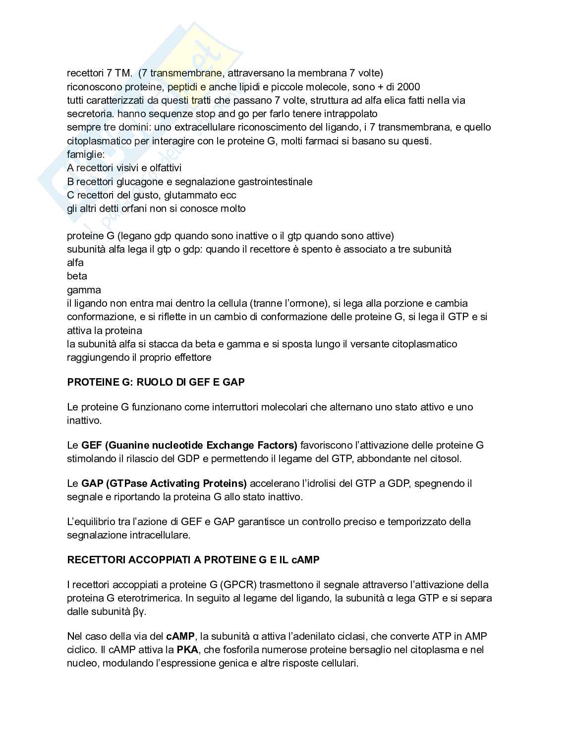 Biologia e genetica - Appunti semestre filtro completi Pag. 91