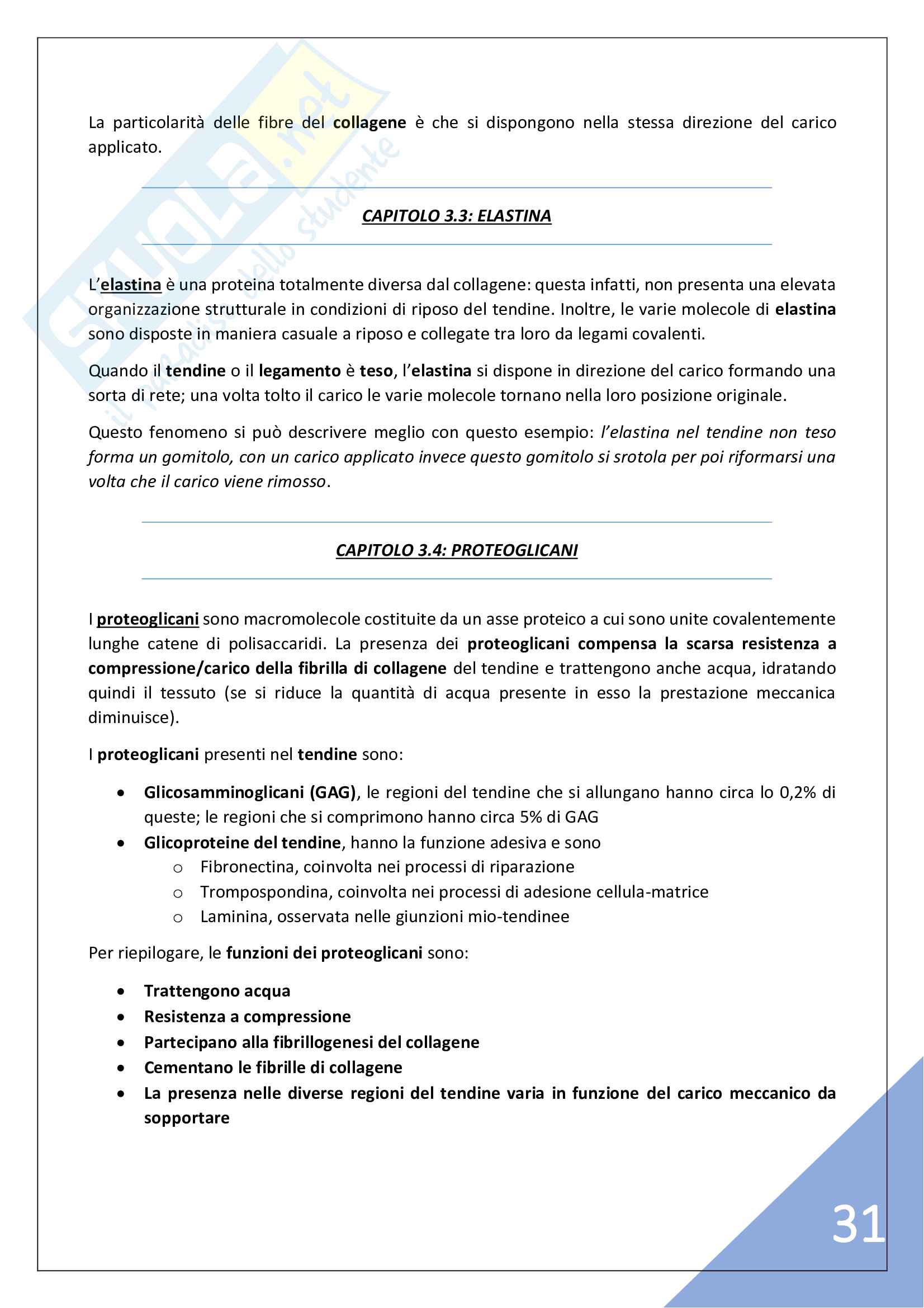 TMD (Teoria Metodologica e Didattica del Movimento Umano) - 3° Anno Pag. 31