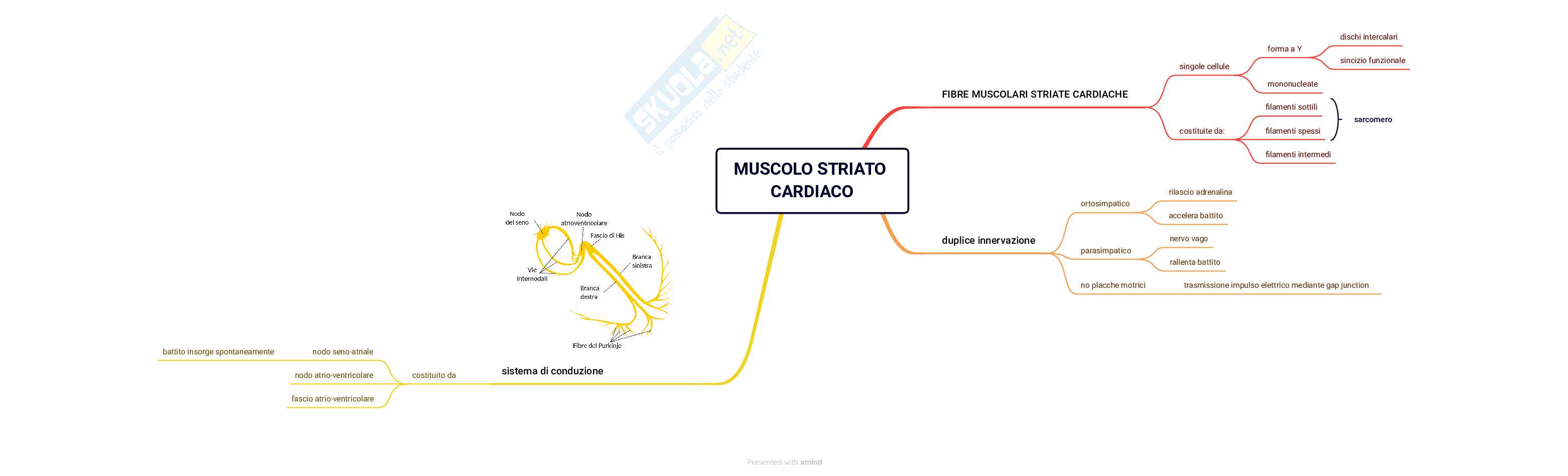Tutti i tessuti Pag. 6