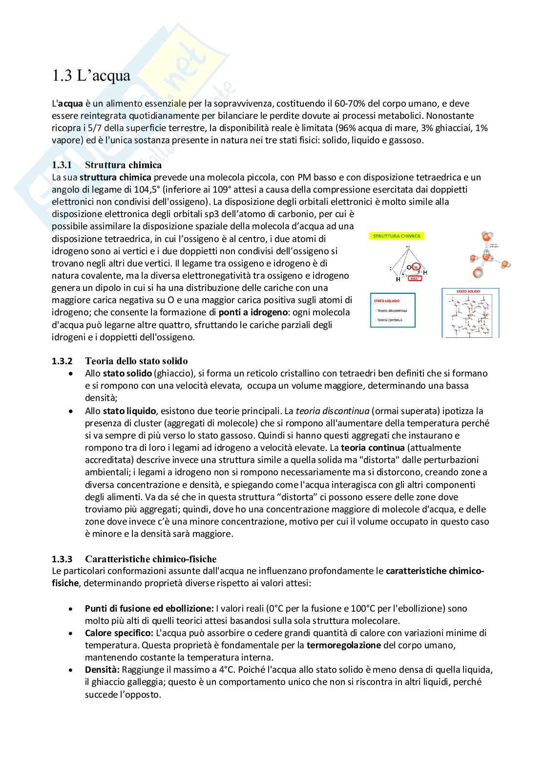 Lezione 1 Chimica degli alimenti Pag. 2