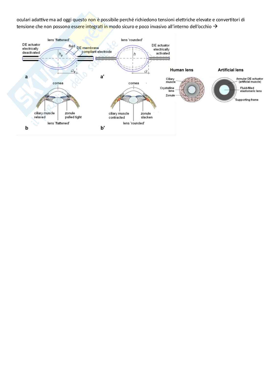 Appunti integrati del corso di Materiali intelligenti Pag. 21