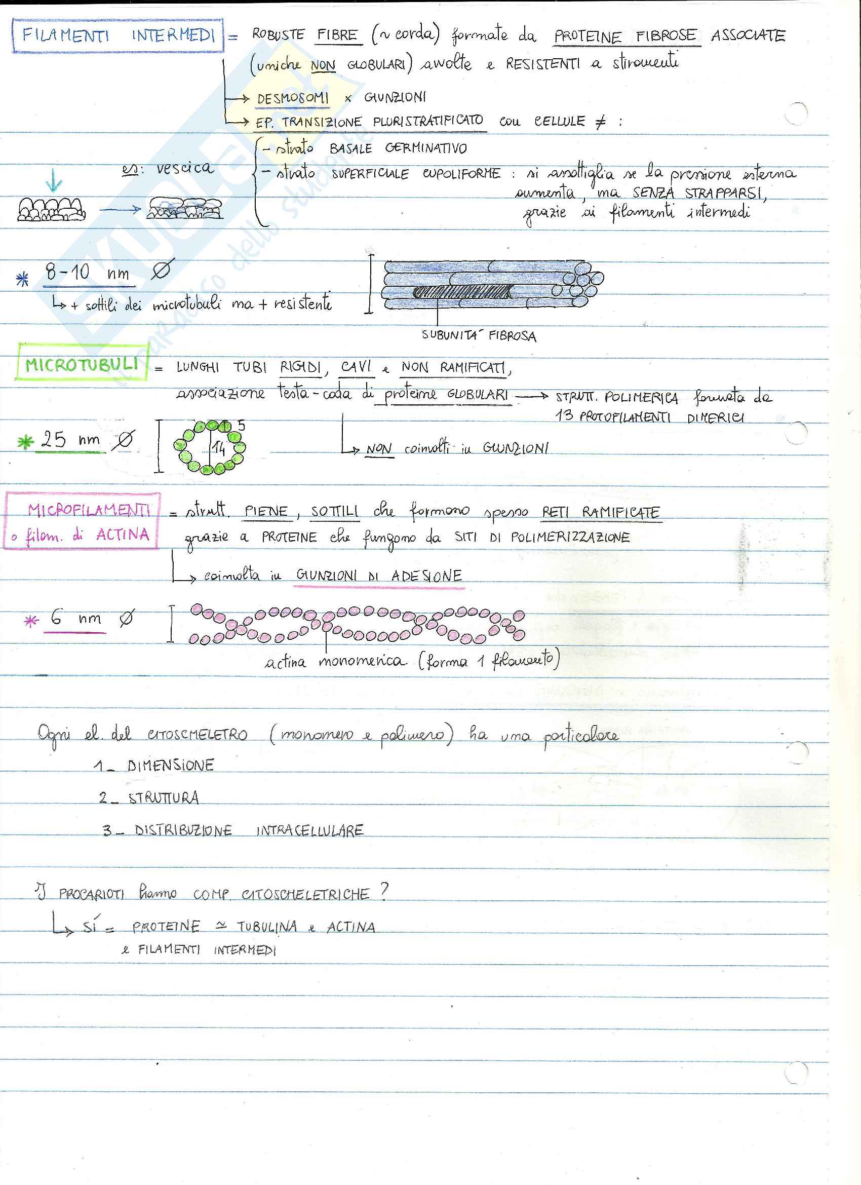Citologia III Pag. 2