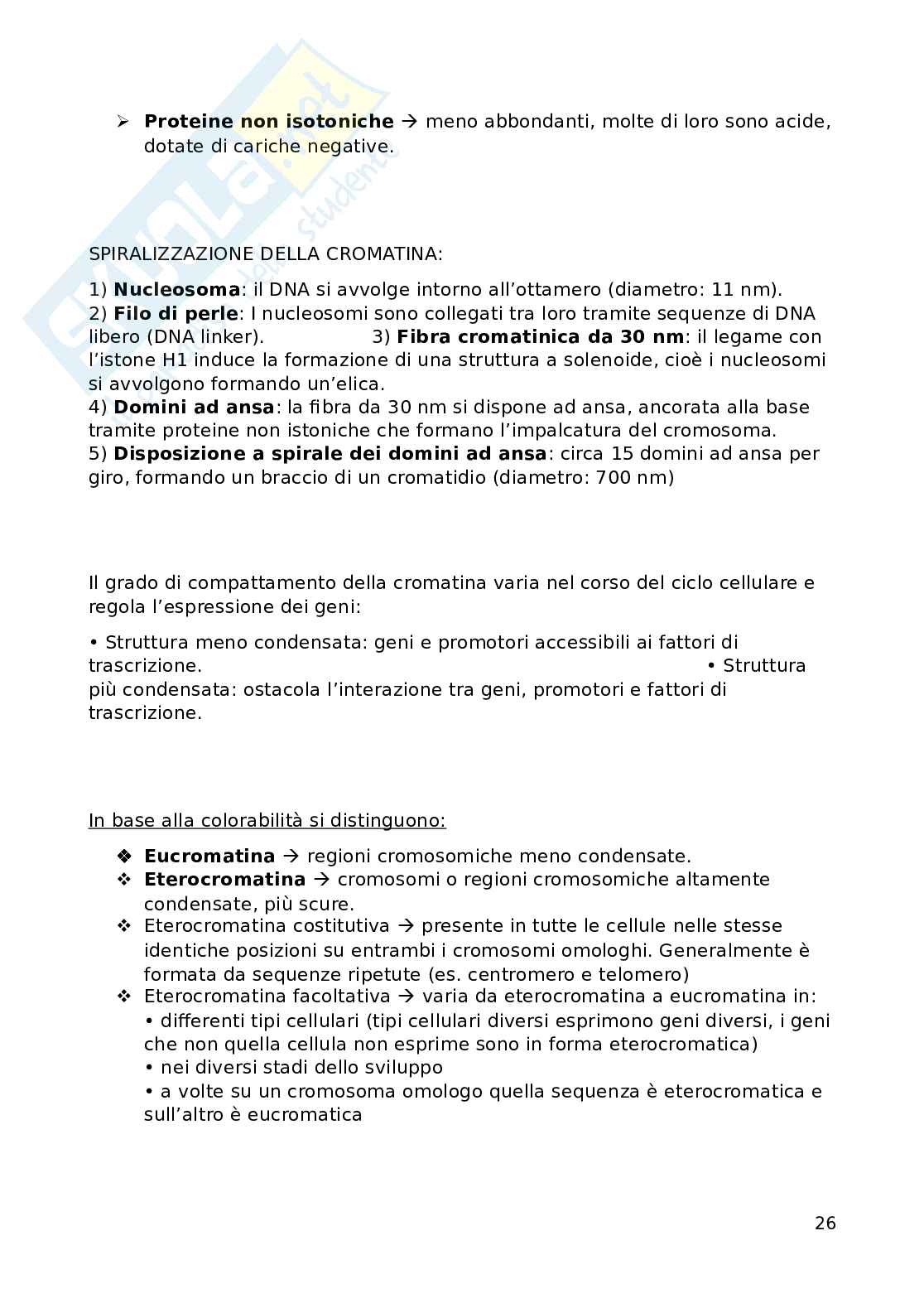 Fondamenti biomolecolari della vita - Biologia applicata e genetica medica Pag. 26