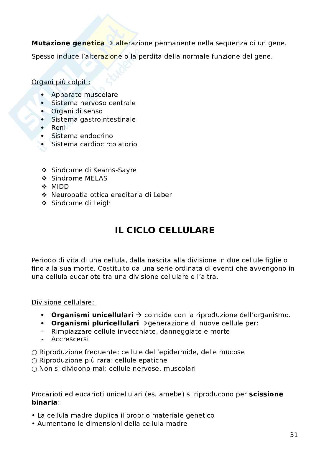 Fondamenti biomolecolari della vita - Biologia applicata e genetica medica Pag. 31