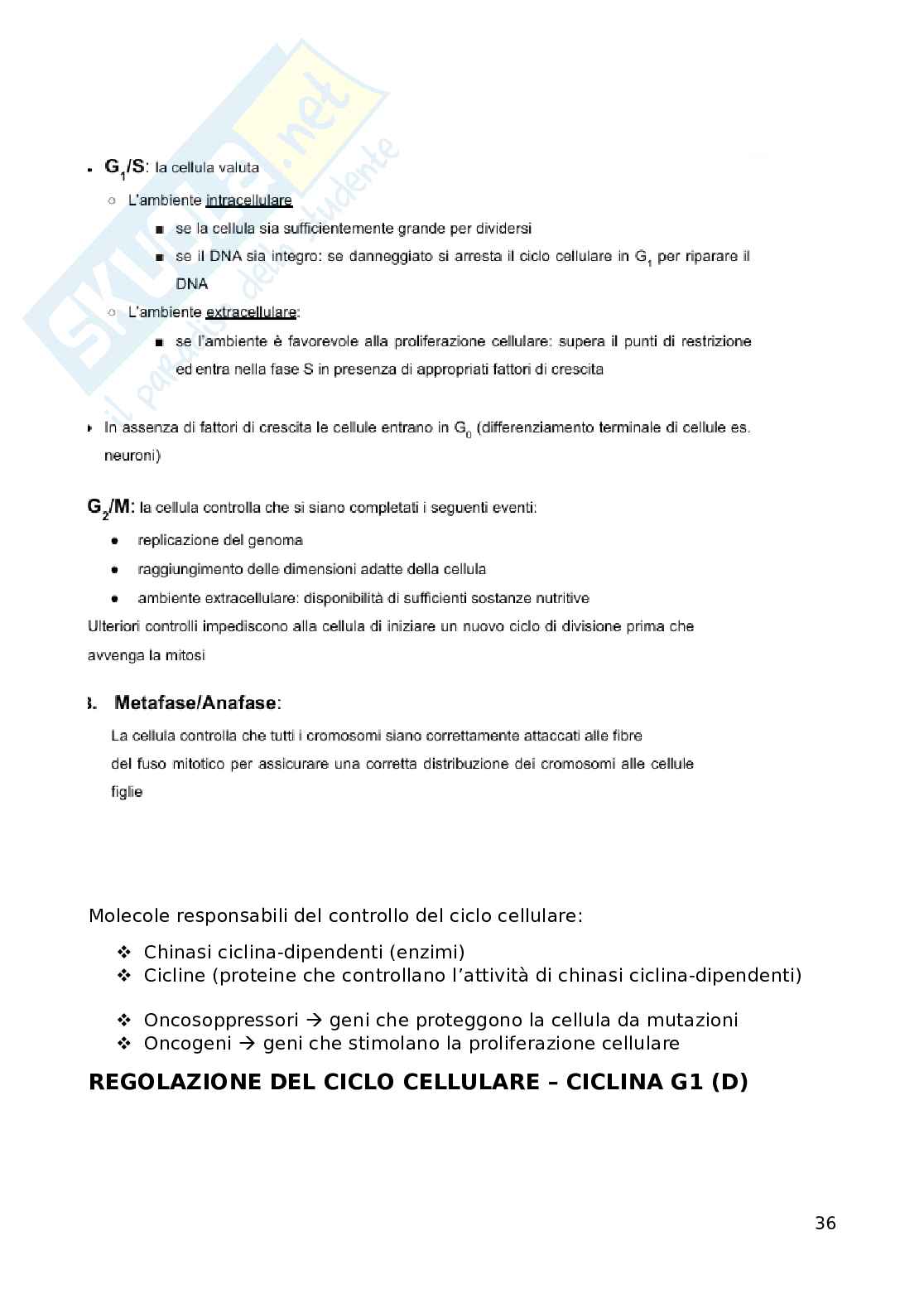 Fondamenti biomolecolari della vita - Biologia applicata e genetica medica Pag. 36