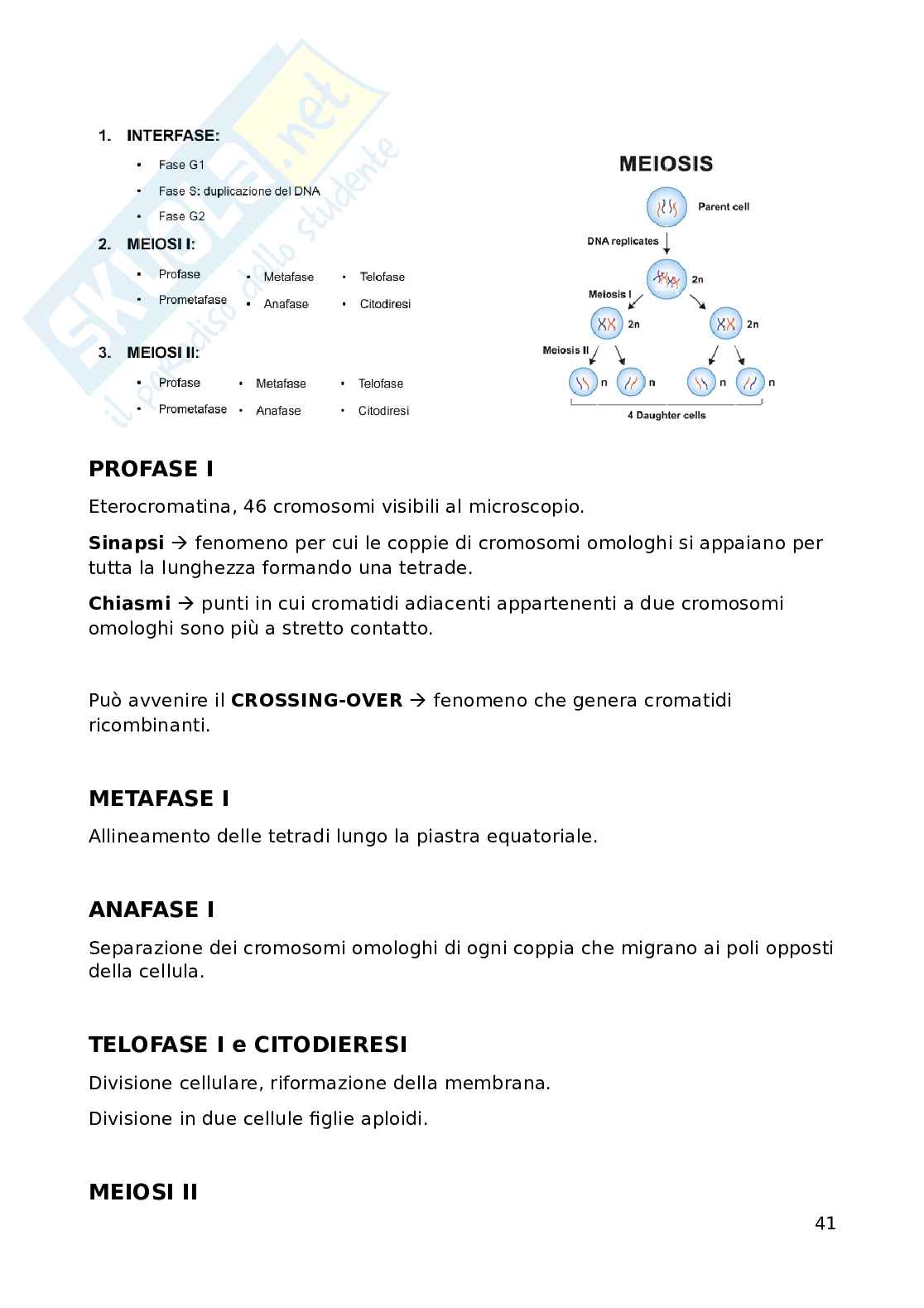 Fondamenti biomolecolari della vita - Biologia applicata e genetica medica Pag. 41