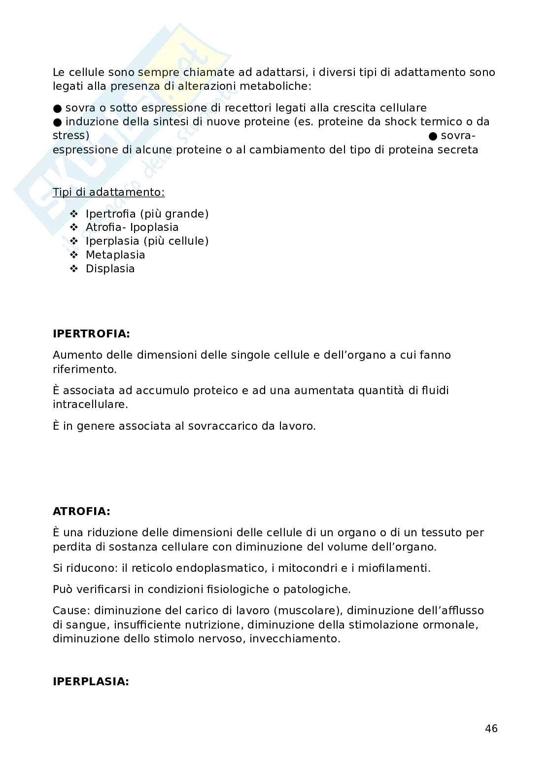 Fondamenti biomolecolari della vita - Biologia applicata e genetica medica Pag. 46