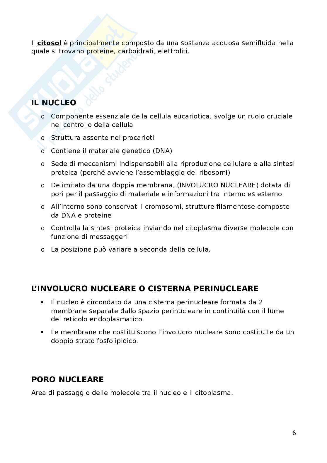 Fondamenti biomolecolari della vita - Biologia applicata e genetica medica Pag. 6