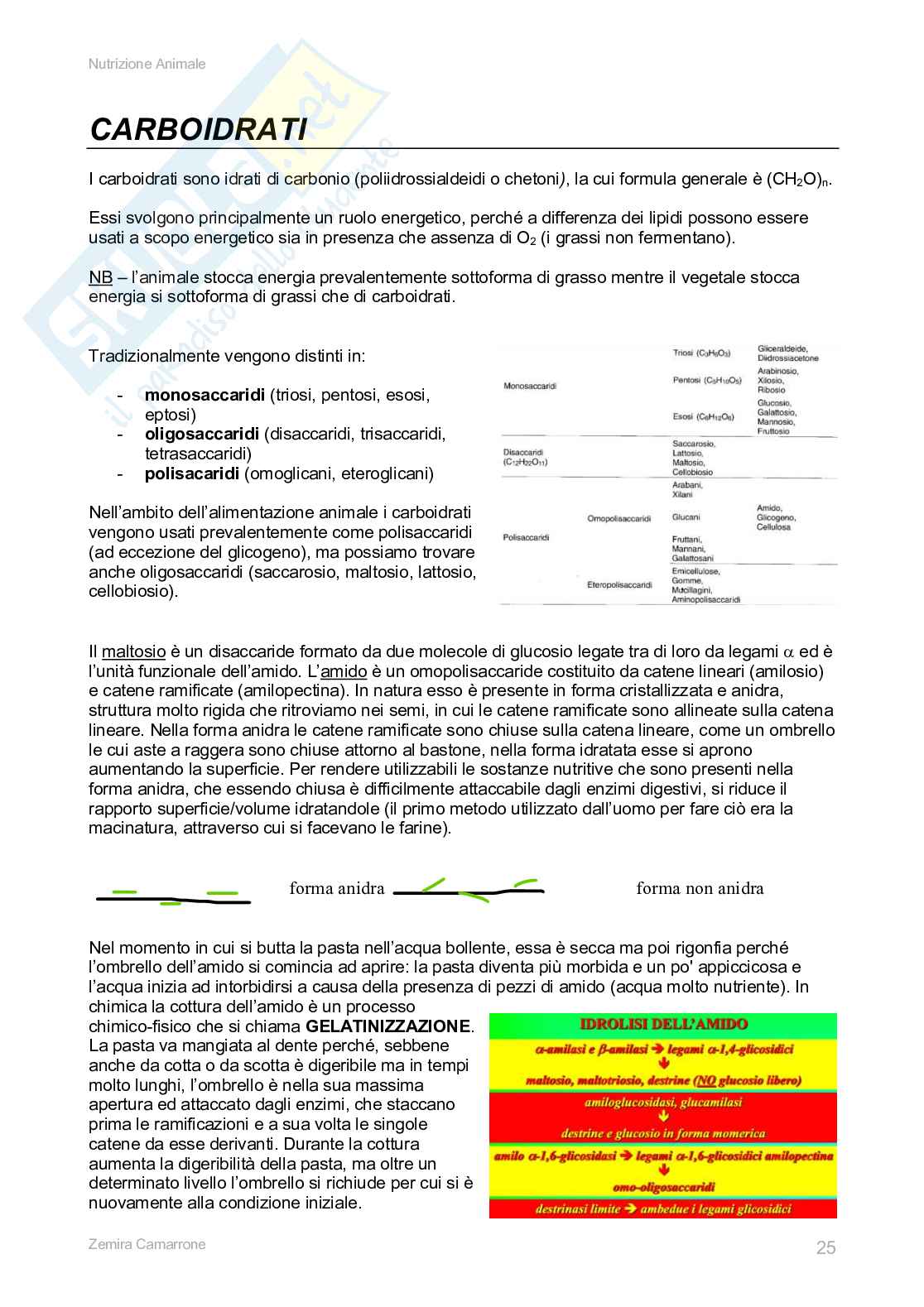Nutrizione Pag. 26