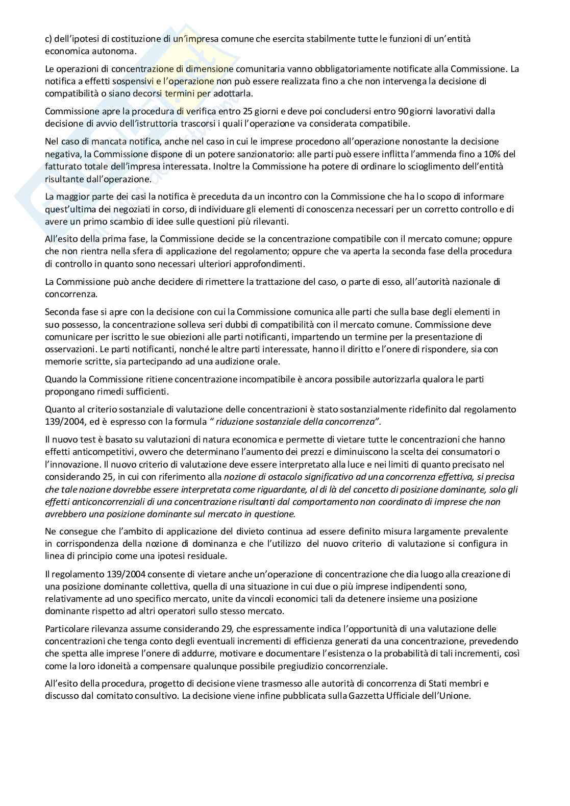 Diritto Unione Europea Pag. 41