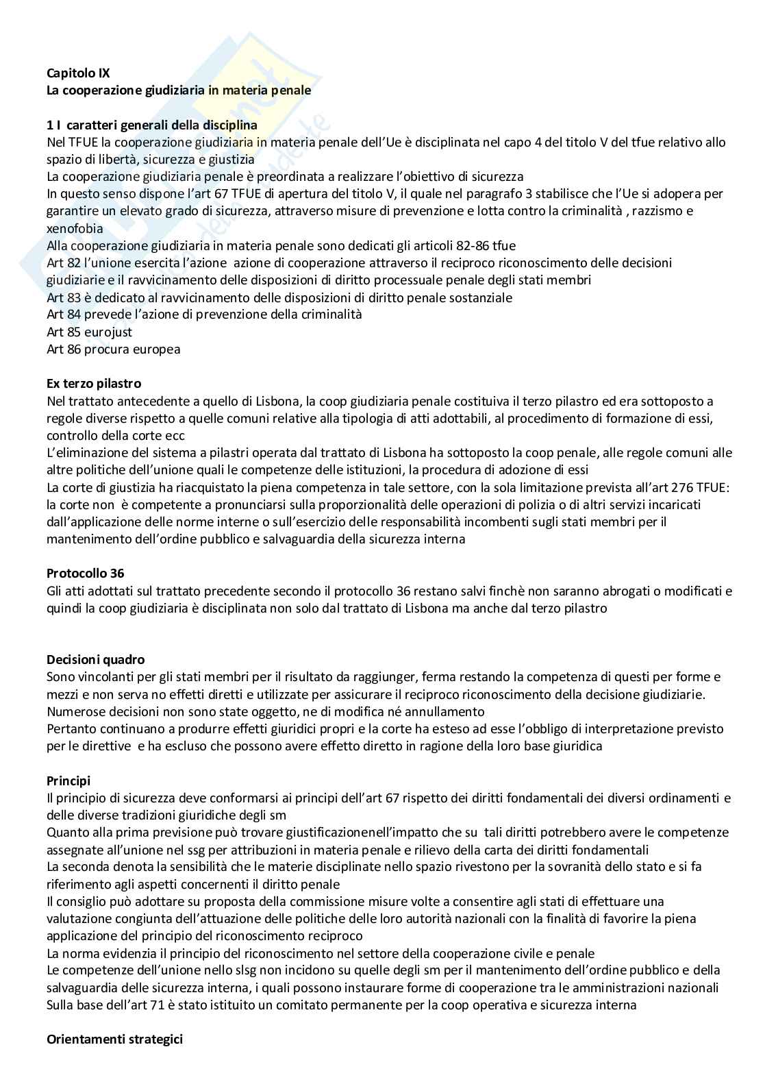 Diritto Unione Europea Pag. 51