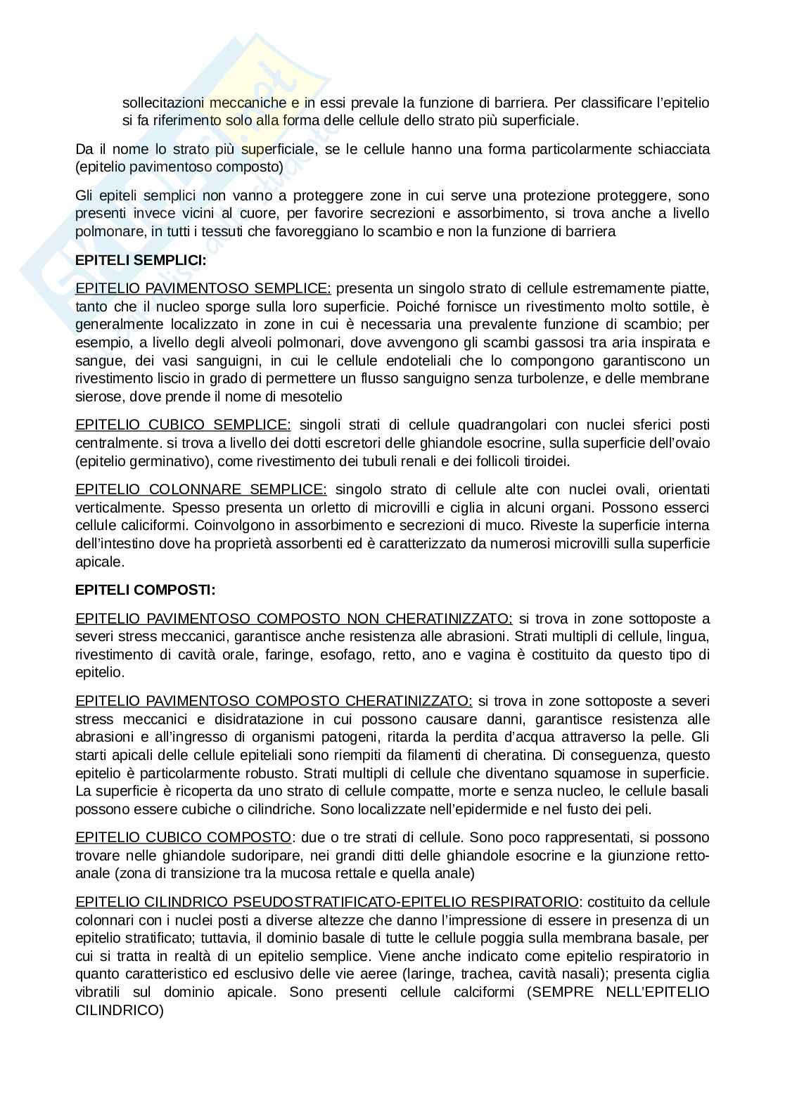 Anatomia umana Pag. 6