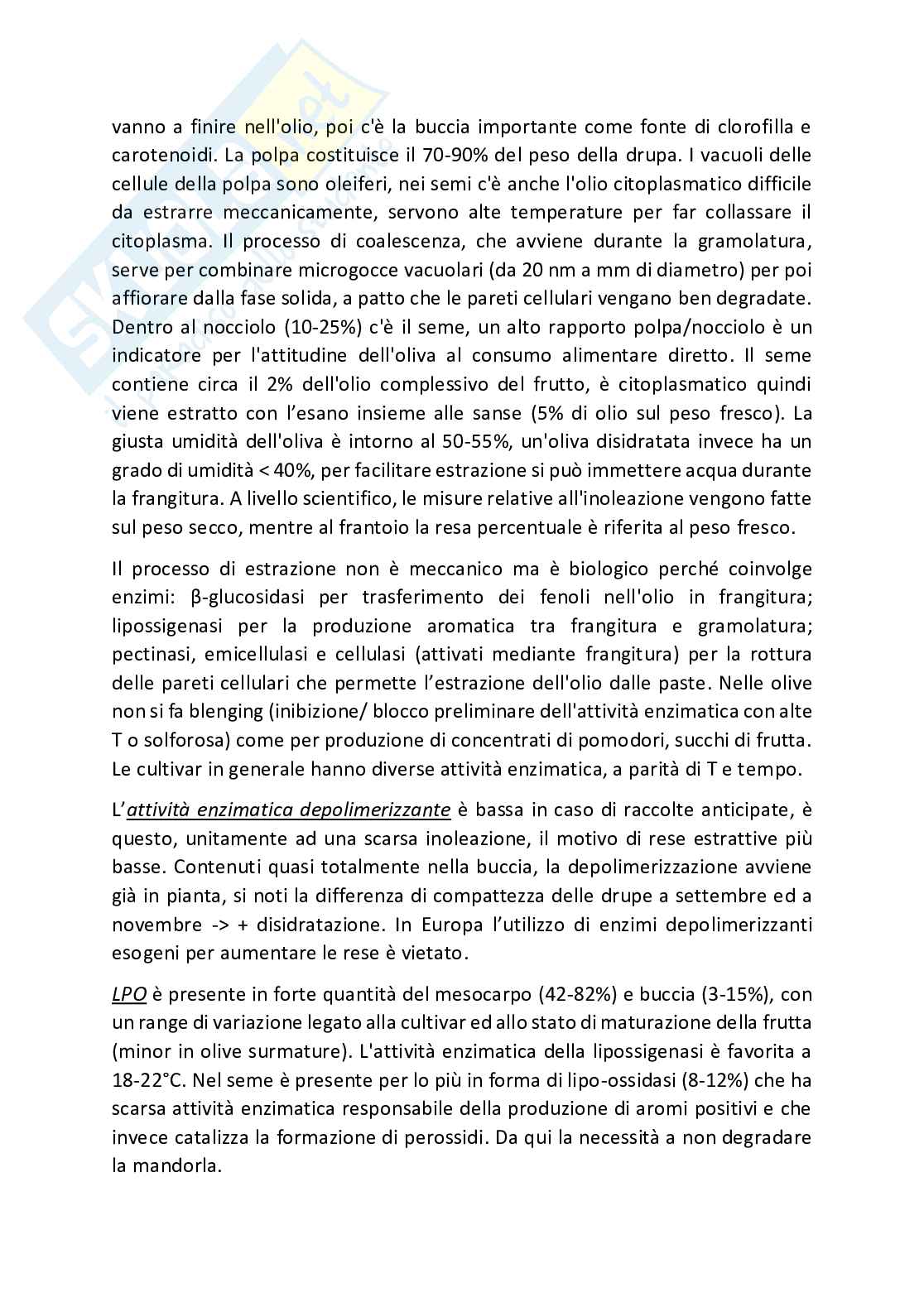 Tecnologie in frantoio Pag. 2